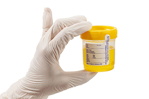 medphysical plus llc in anchorage offers on site drug testing for pre and post employment drug testing