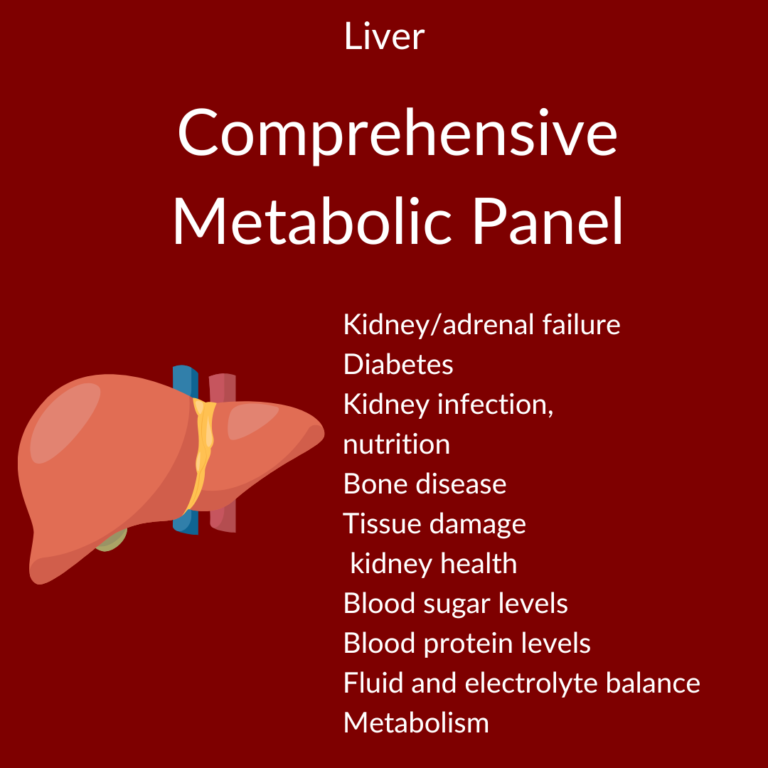 blood-test-lab-in-anchorage-medphysicals-plus-llc-of-anchorage-alaska